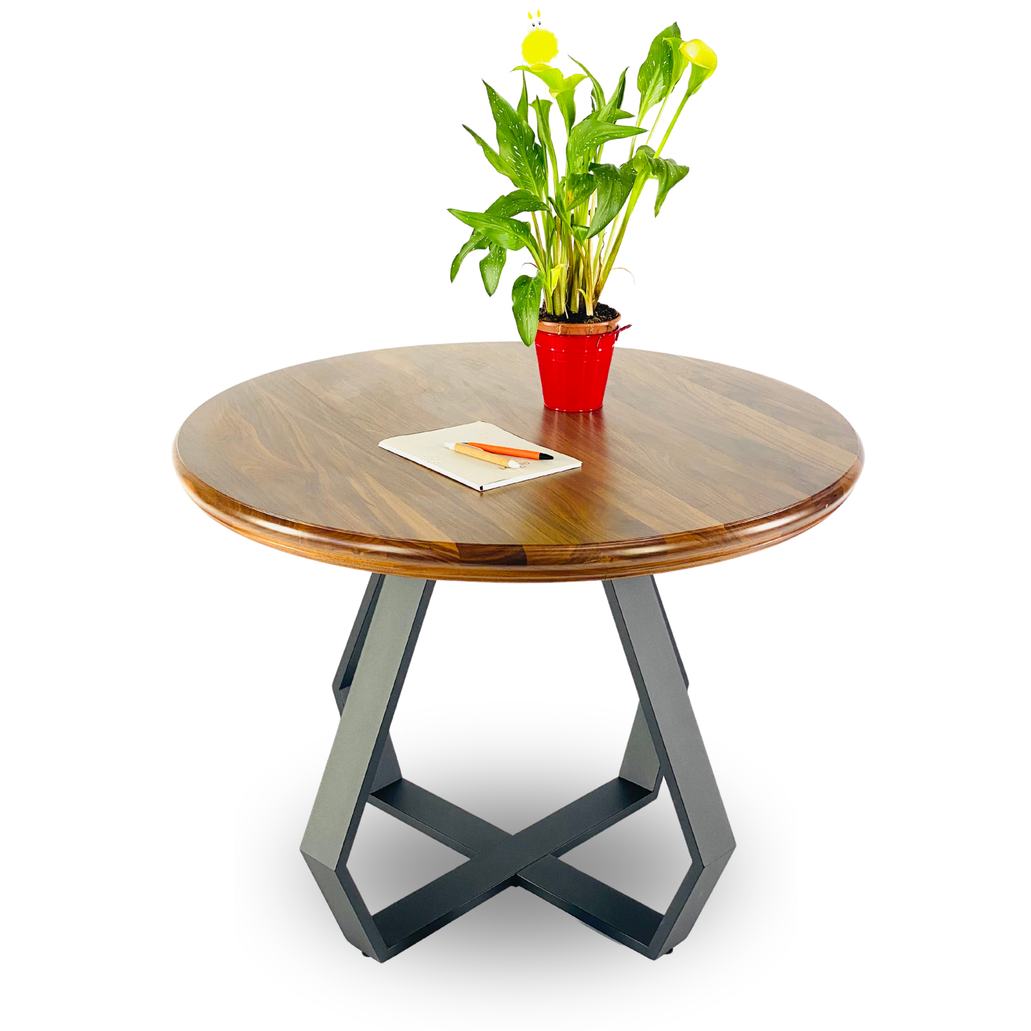 Galda Pamatne - PEAR